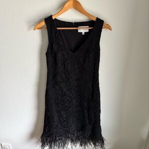 Quiet Luxury Nicole Miller Black Lace Dress with feather details in size 2